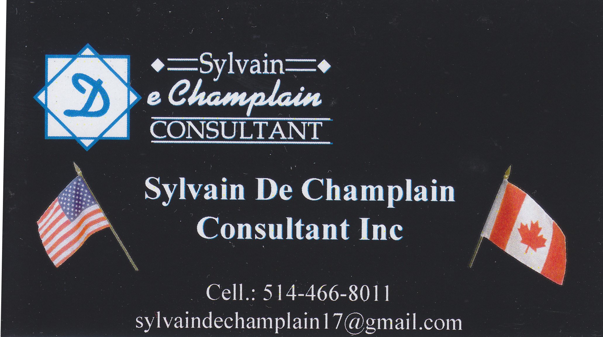 Sylvain de Champlain Consultant